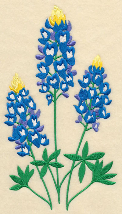 Bluebonnet Trio - Image 2