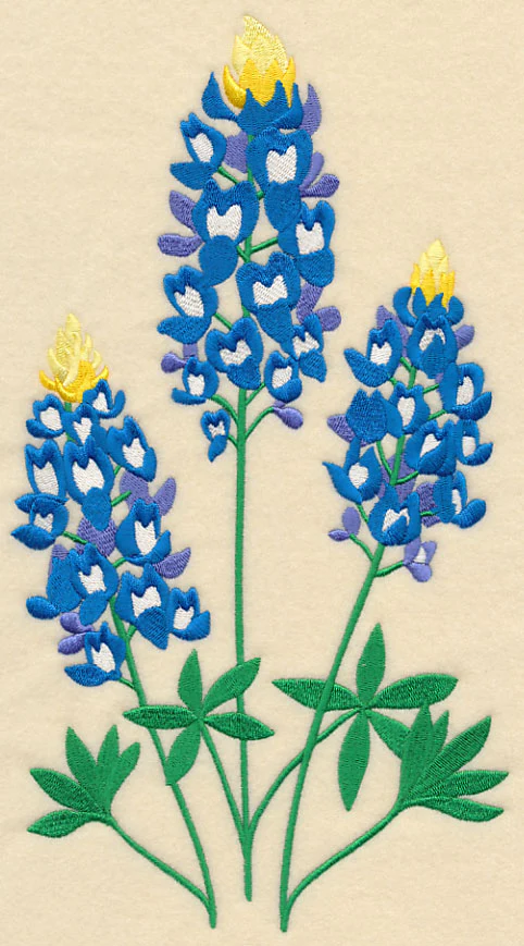 Bluebonnet Trio - Image 5