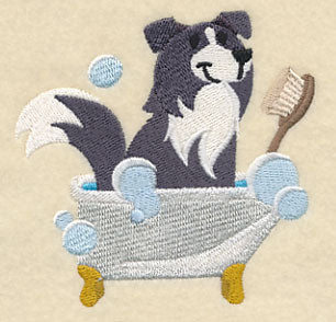 Border Collie in a Tub - Image 2