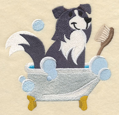 Border Collie in a Tub - Image 3