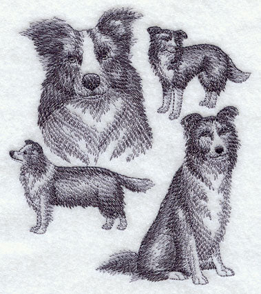 Border Collie Sketch - Image 4