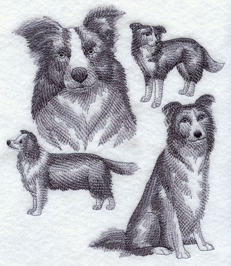 Border Collie Sketch - Image 5