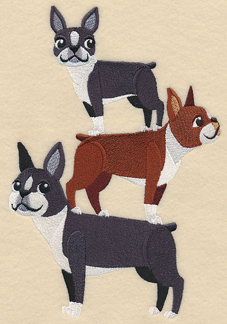 Boston Terrier Stack - Image 3