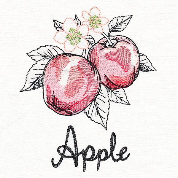 Botanical Fruits & Flowers - Apples - Image 3