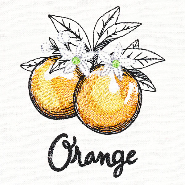 Botanical Fruits & Flowers - Oranges - Image 2