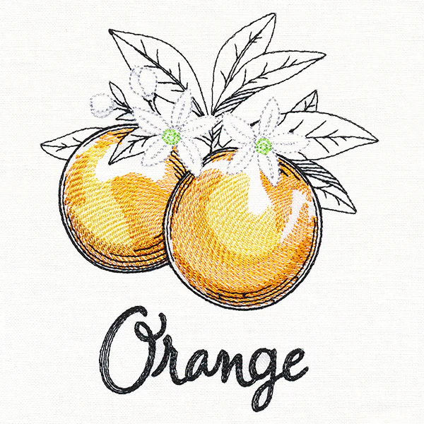 Botanical Fruits & Flowers - Oranges - Image 3