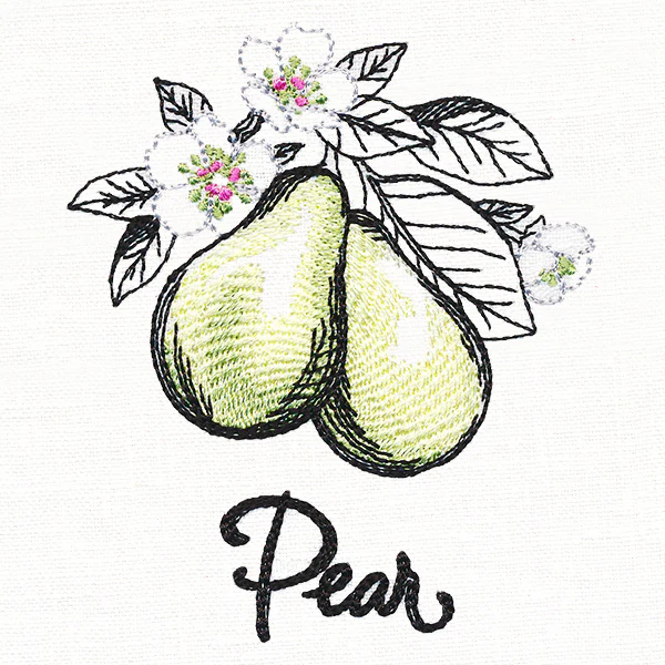 Botanical Fruits & Flowers - Pears - Image 2