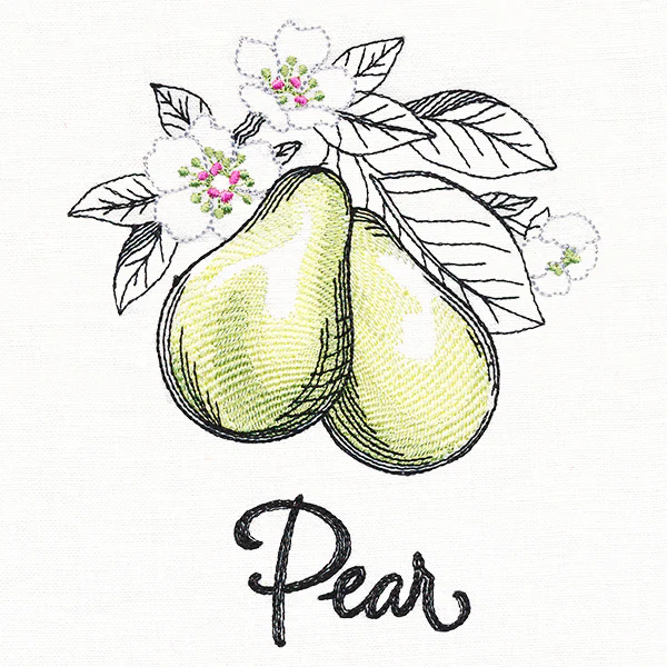Botanical Fruits & Flowers - Pears - Image 3