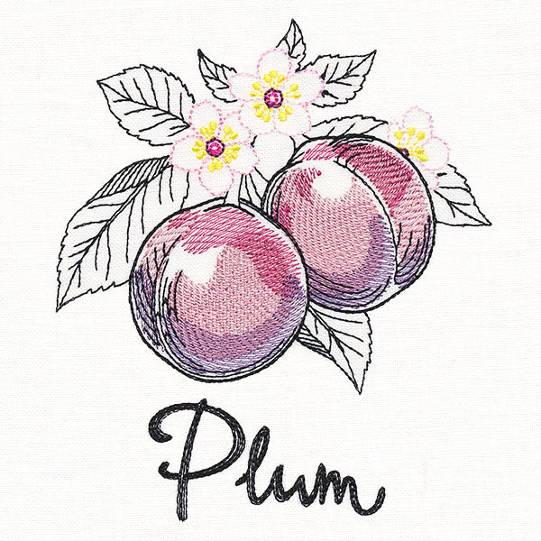 Botanical Fruits & Flowers - Plums - Image 3