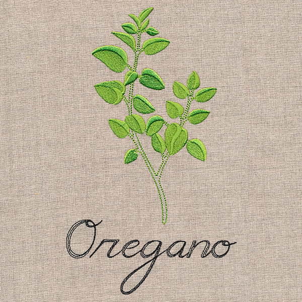 Botanical Herbs - Oregano - Image 2