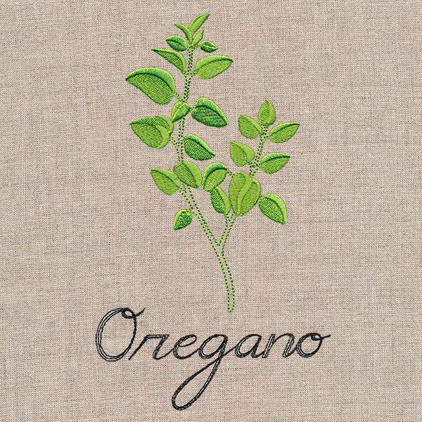 Botanical Herbs - Oregano - Image 3