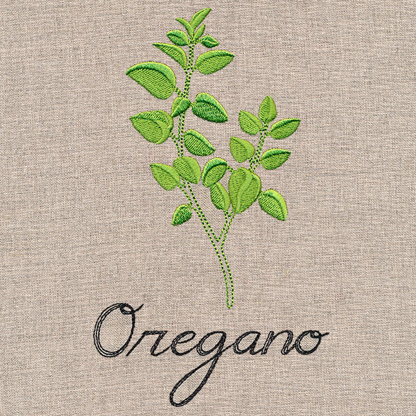 Botanical Herbs - Oregano - Image 4
