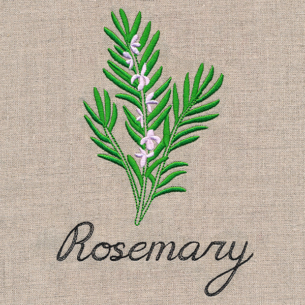 Botanical Herbs - Rosemary - Image 4