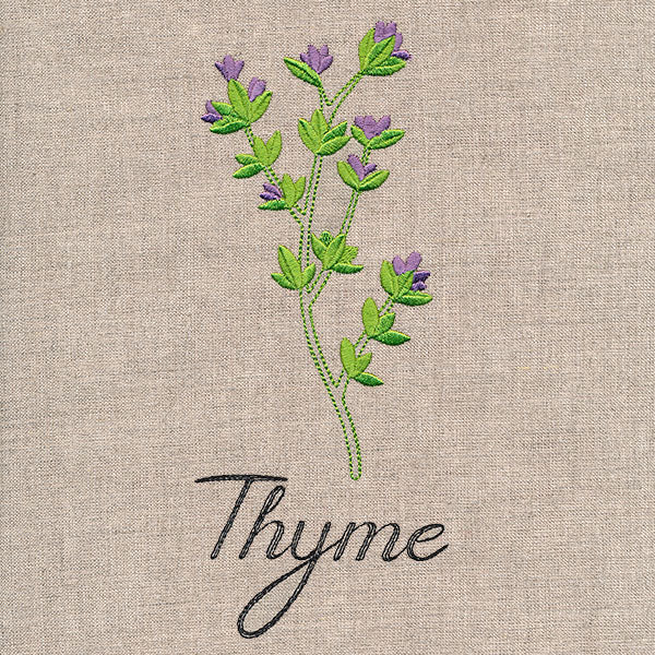 Botanical Herbs - Thyme - Image 3