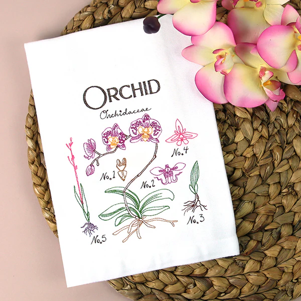 Botanical Illustrations - Orchid - Image 2