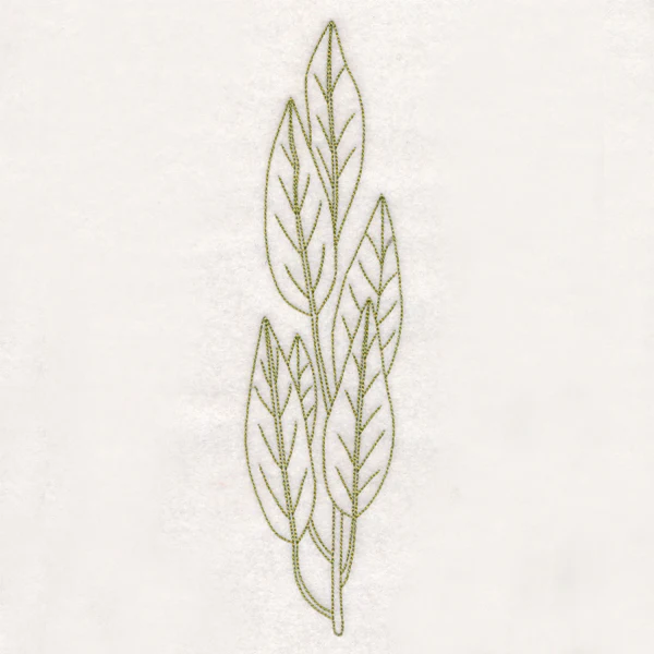 Botanical Treasures - Bay Leaves (Vintage) - Image 2