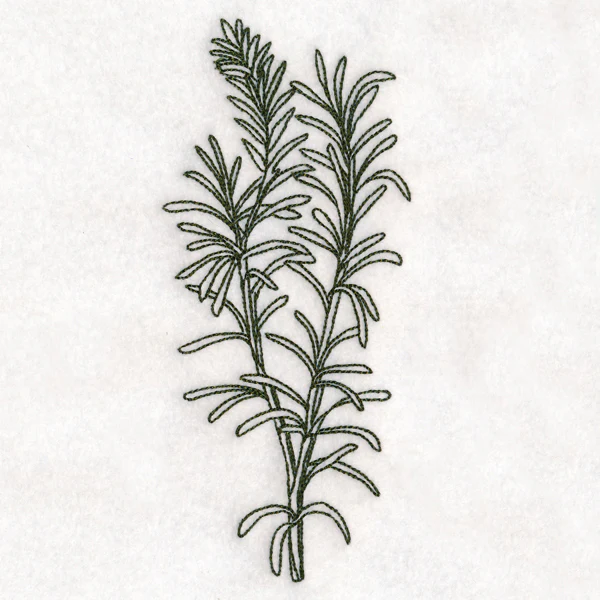 Botanical Treasures - Rosemary (Vintage) - Image 4