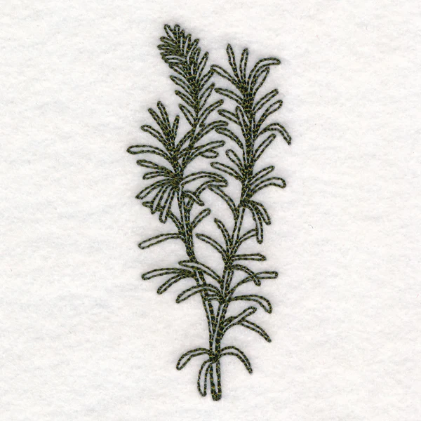 Botanical Treasures - Rosemary (Vintage) - Image 5