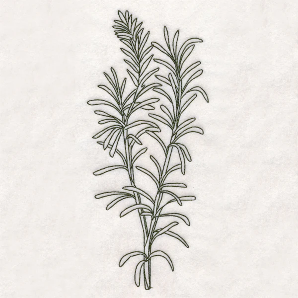 Botanical Treasures - Rosemary (Vintage) - Image 6