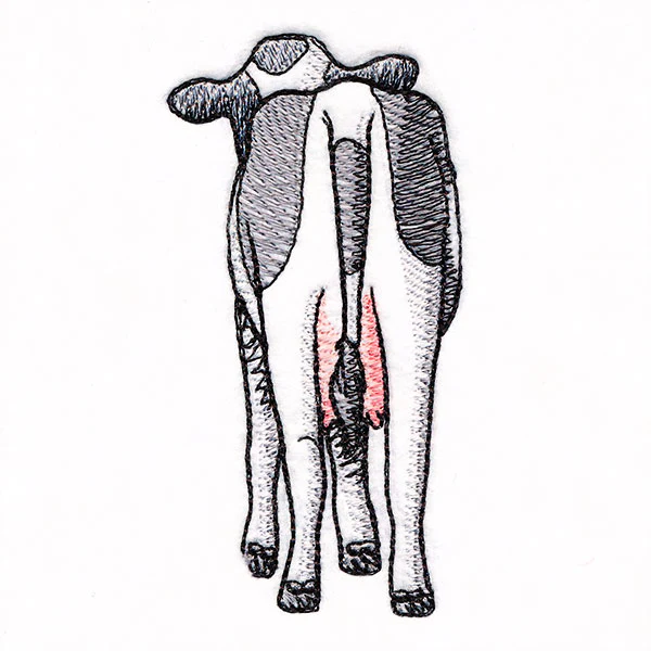 Bottoms Up Buddies - Cow - Image 3