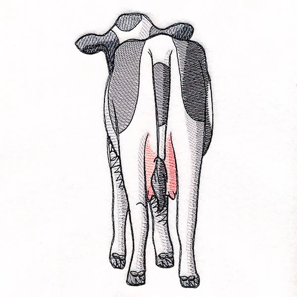 Bottoms Up Buddies - Cow - Image 6