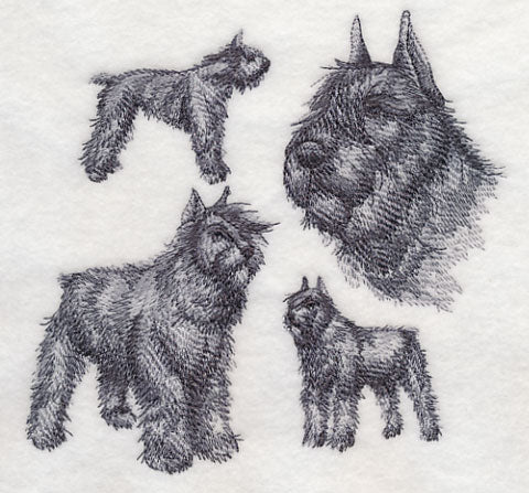 Bouvier de Flanders Sketch (Docked Tail and Cropped Ears) - Image 3