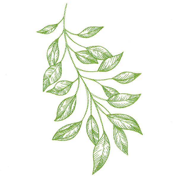 Branching Leaves Etching - Image 5