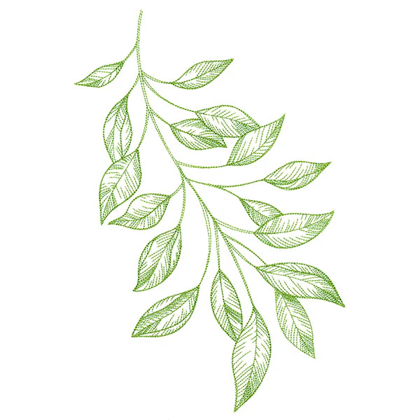 Branching Leaves Etching - Image 9
