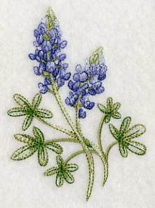 Breathtaking Bluebonnets 1 - Image 3