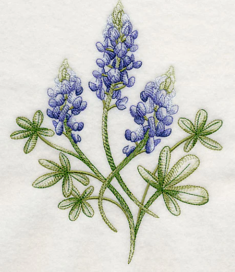 Breathtaking Bluebonnets 2 - Image 4