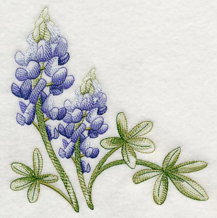 Breathtaking Bluebonnets Corner 1