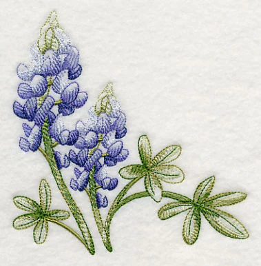 Breathtaking Bluebonnets Corner 1 - Image 2