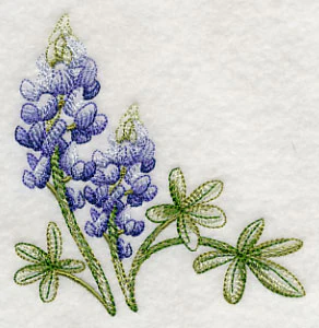 Breathtaking Bluebonnets Corner 1 - Image 3
