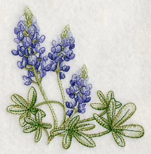 Breathtaking Bluebonnets Corner 2 - Image 3