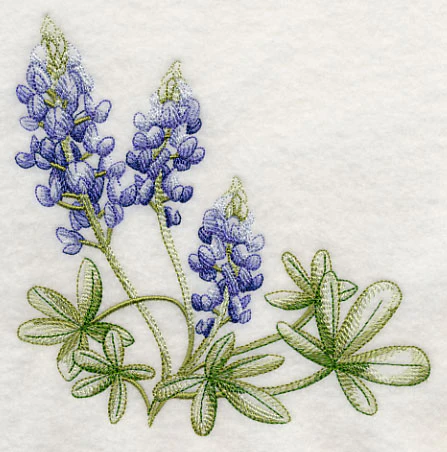 Breathtaking Bluebonnets Corner 2 - Image 4