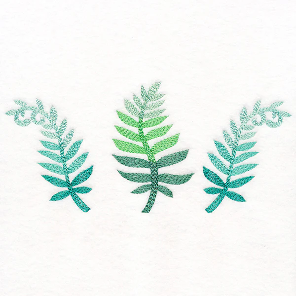 Bright and Breezy Ferns Trio - Image 3