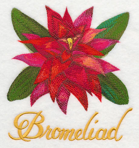 Bromeliad in Watercolor - Image 2