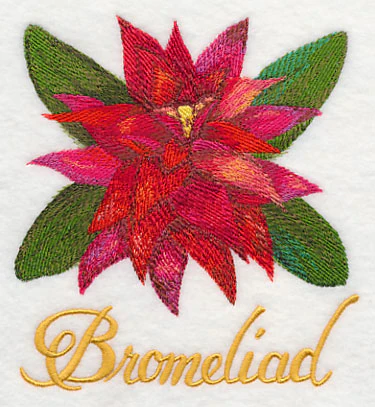 Bromeliad in Watercolor - Image 3