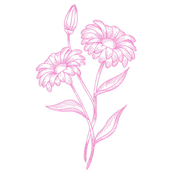 Budding Daisies Etching - Image 2