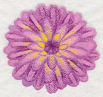 Bursting Bloom Dahlia - Image 4