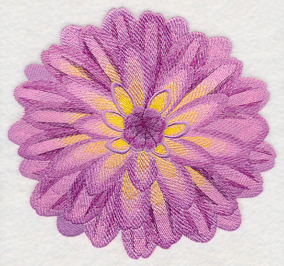 Bursting Bloom Dahlia - Image 5