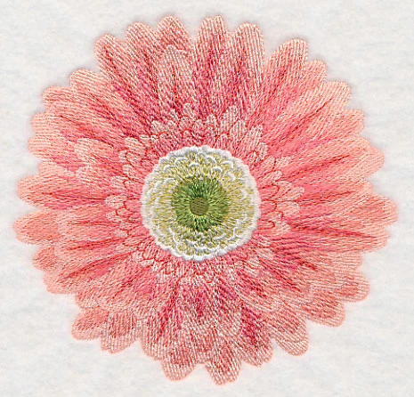 Bursting Bloom Daisy - Image 3