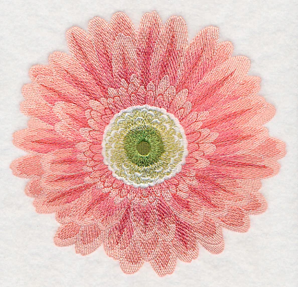 Bursting Bloom Daisy - Image 5