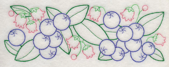 Bursting Blueberry Border (Vintage) - Image 3