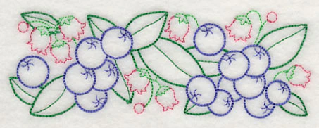 Bursting Blueberry Border (Vintage) - Image 4