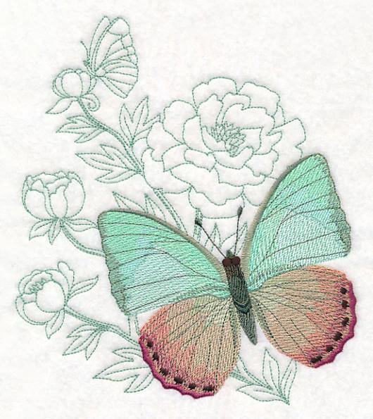 Butterfly Beauty - Green Charaxes - Image 4