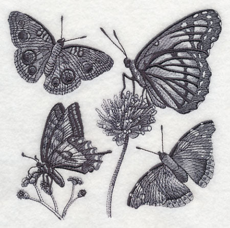 Butterfly Sketch - Image 3