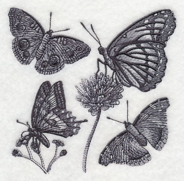 Butterfly Sketch - Image 4