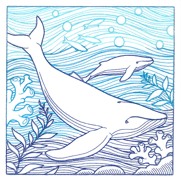 By The Seashore - Whale Etching