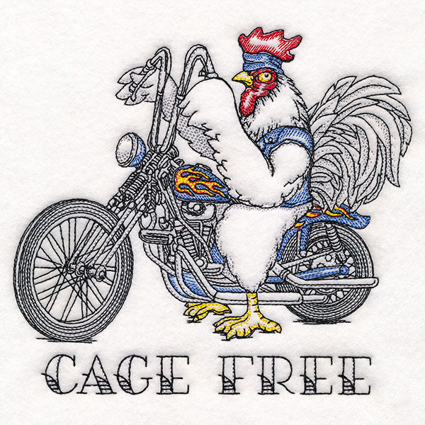 Cage Free Chicken - Image 3